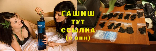 сатива Алзамай