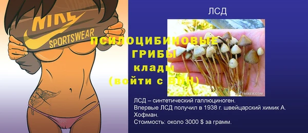 сатива Алзамай