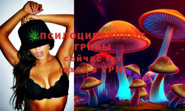 скорость Алексин