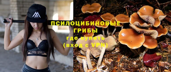 ALPHA PVP Абинск