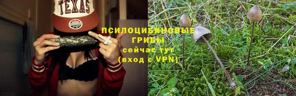 скорость Алексин