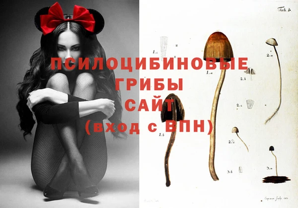 скорость Алексин