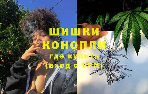 сатива Алзамай