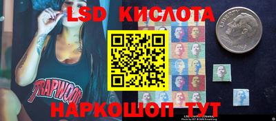 дмт Славгород