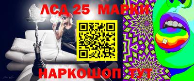 не бодяженный Сланцы