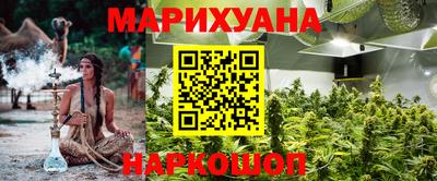 дмт Славгород