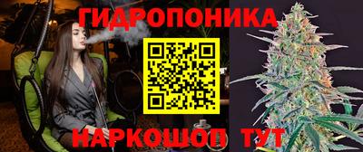 не бодяженный Сланцы