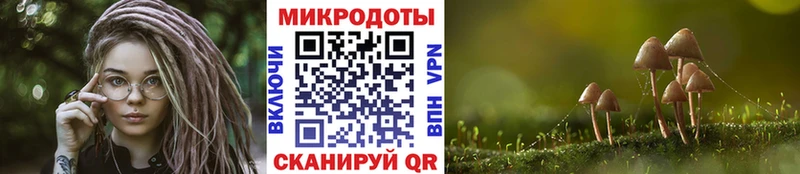 Галлюциногенные грибы Psilocybine cubensis  Салават 