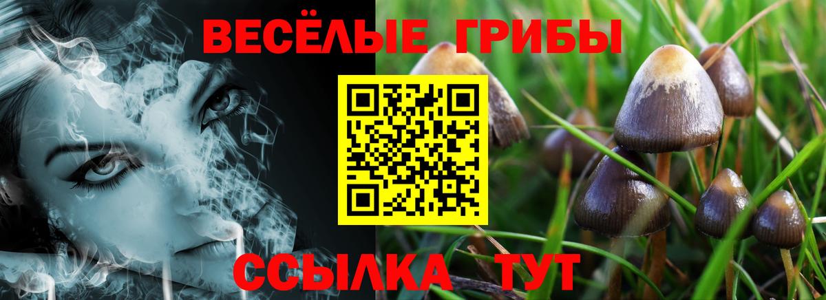 Галлюциногенные грибы ЛСД  Вход с VPN  Салават  Галлюциногенные грибы прущие грибы 